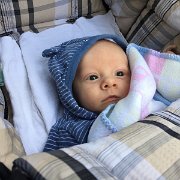 IMG 003